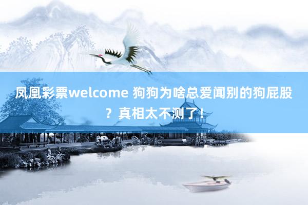 凤凰彩票welcome 狗狗为啥总爱闻别的狗屁股？真相太不测了！