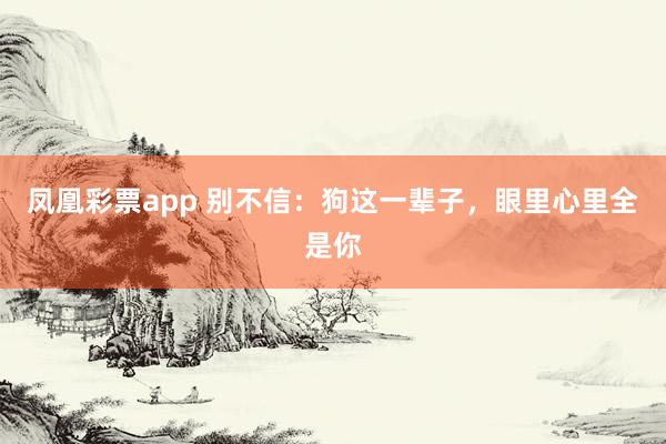凤凰彩票app 别不信：狗这一辈子，眼里心里全是你