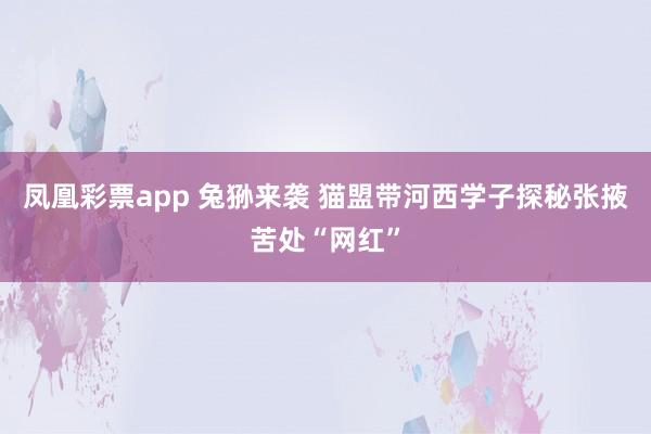 凤凰彩票app 兔狲来袭 猫盟带河西学子探秘张掖苦处“网红”