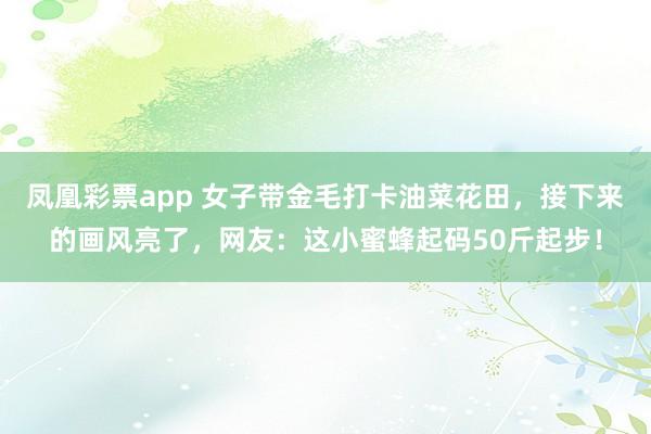 凤凰彩票app 女子带金毛打卡油菜花田，接下来的画风亮了，网友：这小蜜蜂起码50斤起步！