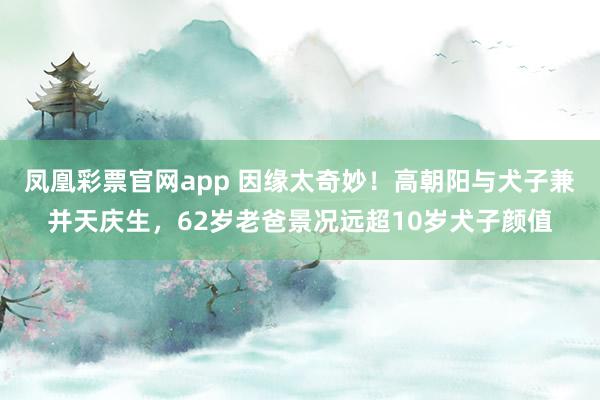 凤凰彩票官网app 因缘太奇妙！高朝阳与犬子兼并天庆生，62岁老爸景况远超10岁犬子颜值