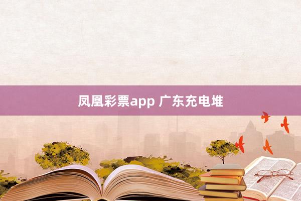 凤凰彩票app 广东充电堆