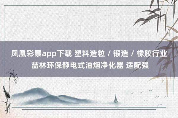 凤凰彩票app下载 塑料造粒 / 锻造 / 橡胶行业 喆林环保静电式油烟净化器 适配强