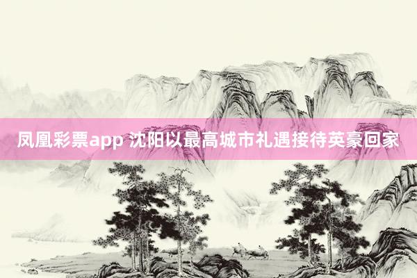 凤凰彩票app 沈阳以最高城市礼遇接待英豪回家