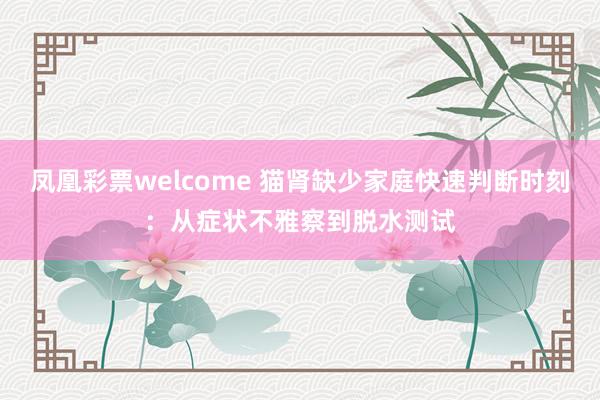 凤凰彩票welcome 猫肾缺少家庭快速判断时刻：从症状不雅察到脱水测试