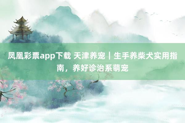 凤凰彩票app下载 天津养宠｜生手养柴犬实用指南，养好诊治系萌宠
