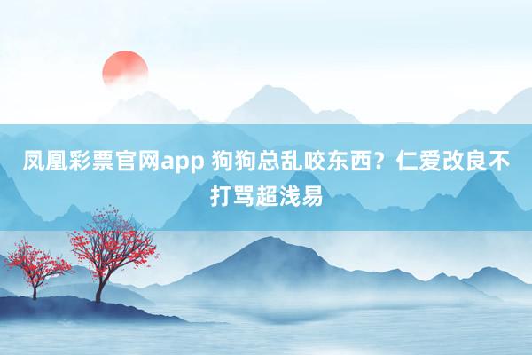 凤凰彩票官网app 狗狗总乱咬东西？仁爱改良不打骂超浅易