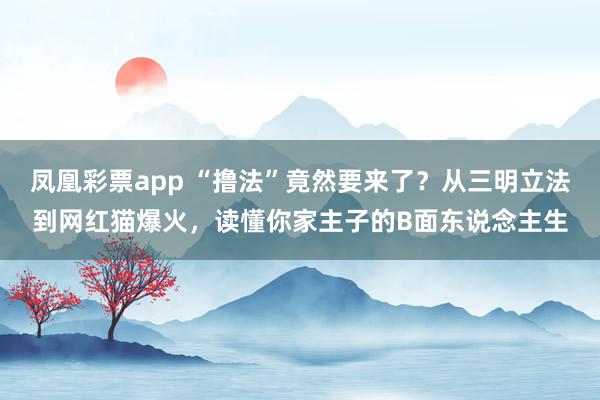 凤凰彩票app “撸法”竟然要来了？从三明立法到网红猫爆火，读懂你家主子的B面东说念主生