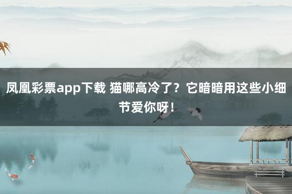 凤凰彩票app下载 猫哪高冷了？它暗暗用这些小细节爱你呀！