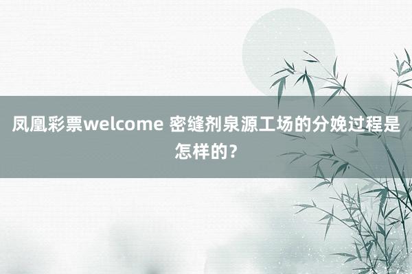 凤凰彩票welcome 密缝剂泉源工场的分娩过程是怎样的？