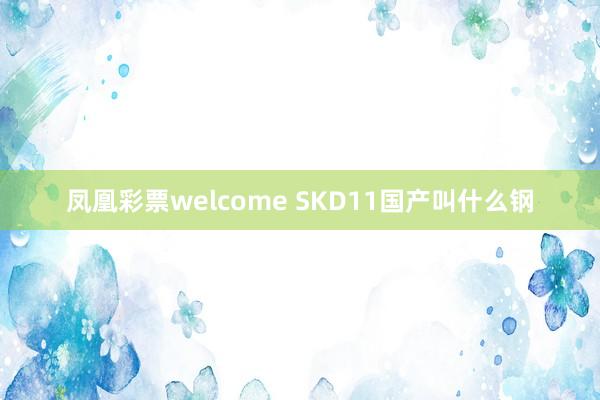 凤凰彩票welcome SKD11国产叫什么钢