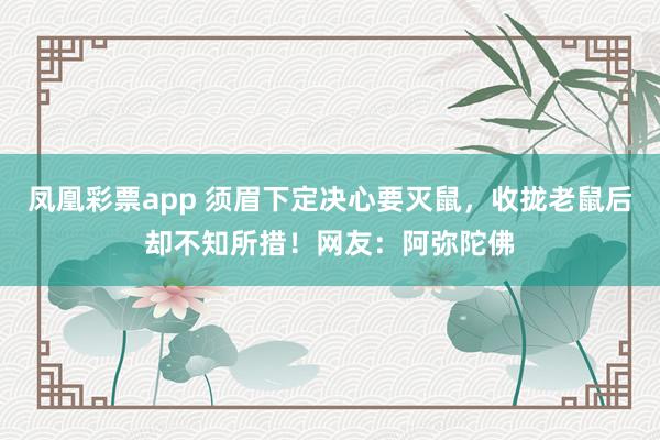 凤凰彩票app 须眉下定决心要灭鼠，收拢老鼠后却不知所措！网友：阿弥陀佛