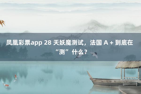凤凰彩票app 28 天妖魔测试，法国 A + 到底在 “测” 什么？