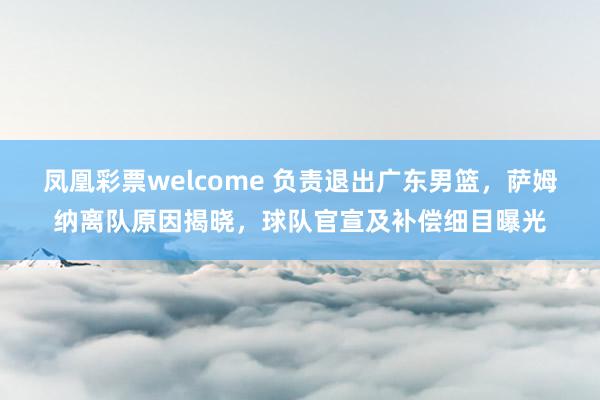凤凰彩票welcome 负责退出广东男篮，萨姆纳离队原因揭晓，球队官宣及补偿细目曝光