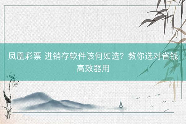 凤凰彩票 进销存软件该何如选？教你选对省钱高效器用