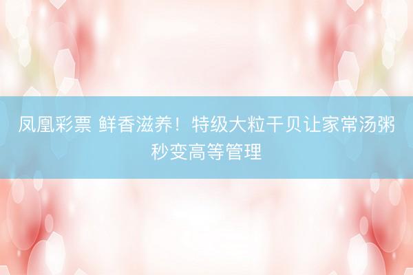 凤凰彩票 鲜香滋养！特级大粒干贝让家常汤粥秒变高等管理